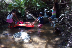 IMG-20181104-WA0068