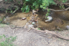 IMG-20181104-WA0097