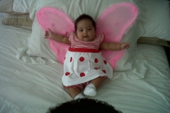 IMG00116-20110113-1837