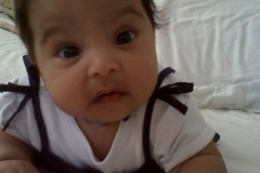 IMG00209-20110123-1026