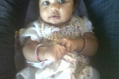 IMG02035-20120325-1747