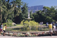 Cape Town Gardens