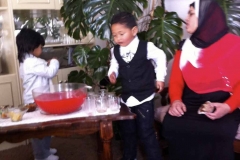 IMG_2937-copy