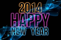 New Years Party 2014