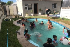 IMG-20190101-WA0163