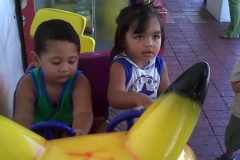 IMG00361-20110212-1210