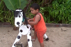 IMG00396-20110213-1218
