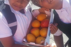 IMG-20190212-WA0037