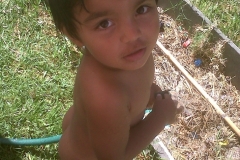 IMG01655-20120129-1458
