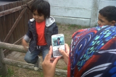 IMG02187-20120512-0958