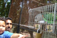 DSC07005