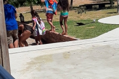 IMG-20191208-WA0081