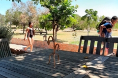 IMG-20191208-WA0082