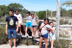IMG-20191209-WA0002