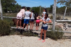 IMG-20191209-WA0003