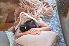 IMG-20191209-WA0058